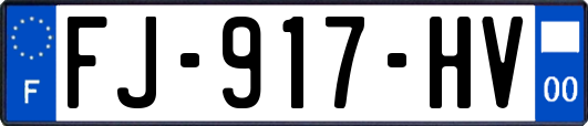 FJ-917-HV