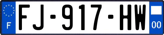 FJ-917-HW