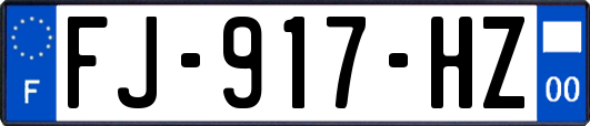 FJ-917-HZ