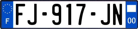 FJ-917-JN