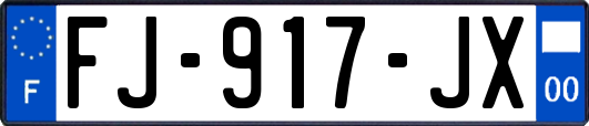 FJ-917-JX