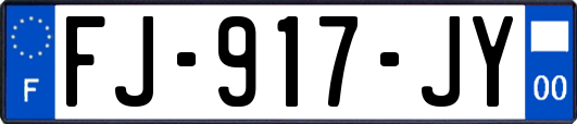 FJ-917-JY