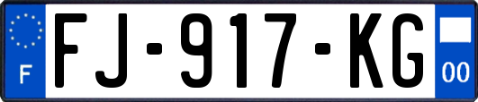 FJ-917-KG