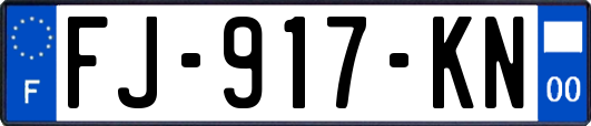 FJ-917-KN
