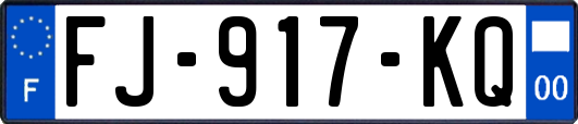 FJ-917-KQ