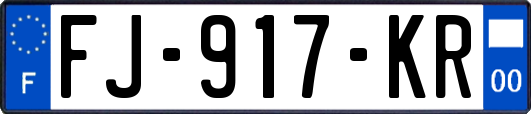 FJ-917-KR