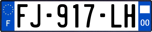 FJ-917-LH