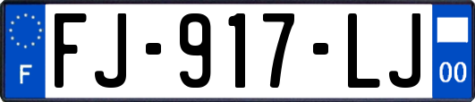 FJ-917-LJ