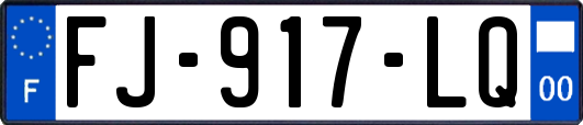 FJ-917-LQ