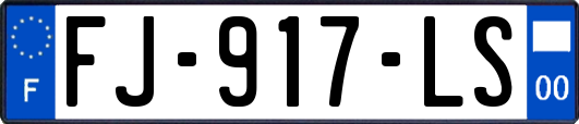 FJ-917-LS