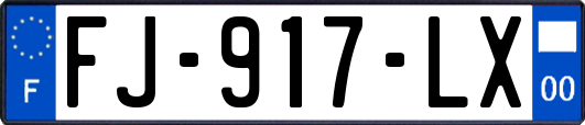FJ-917-LX