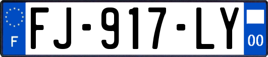 FJ-917-LY