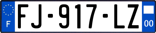 FJ-917-LZ