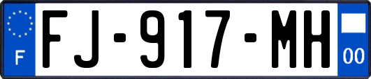 FJ-917-MH