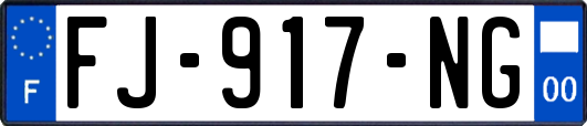 FJ-917-NG