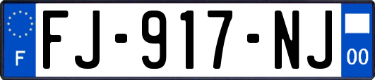 FJ-917-NJ
