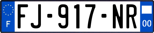 FJ-917-NR