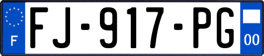 FJ-917-PG