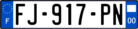 FJ-917-PN