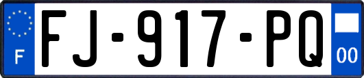 FJ-917-PQ