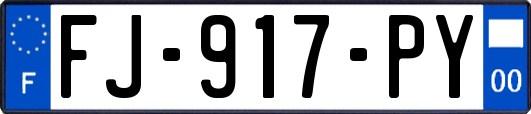 FJ-917-PY