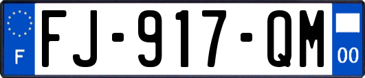 FJ-917-QM