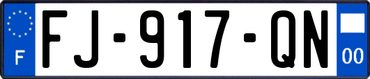 FJ-917-QN