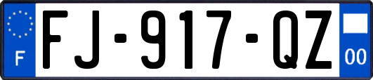 FJ-917-QZ