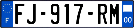 FJ-917-RM