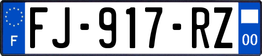 FJ-917-RZ