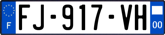 FJ-917-VH