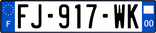 FJ-917-WK