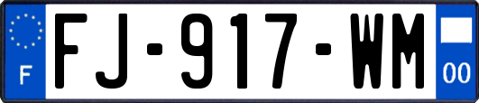 FJ-917-WM