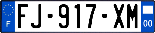 FJ-917-XM
