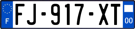 FJ-917-XT