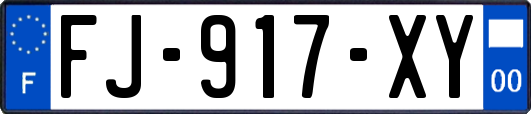 FJ-917-XY