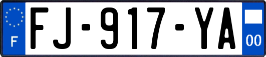 FJ-917-YA