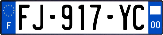 FJ-917-YC