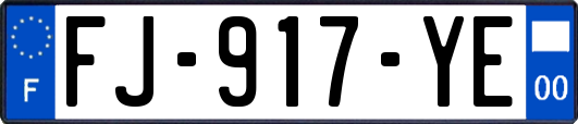 FJ-917-YE