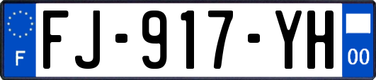FJ-917-YH