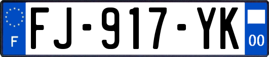 FJ-917-YK