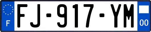 FJ-917-YM