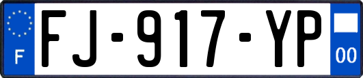 FJ-917-YP