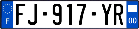 FJ-917-YR