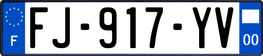 FJ-917-YV
