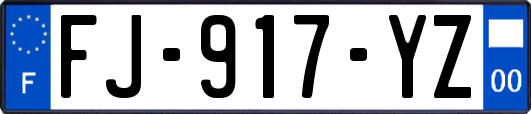 FJ-917-YZ