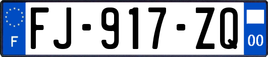 FJ-917-ZQ