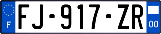 FJ-917-ZR