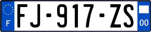 FJ-917-ZS