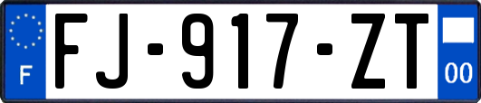 FJ-917-ZT